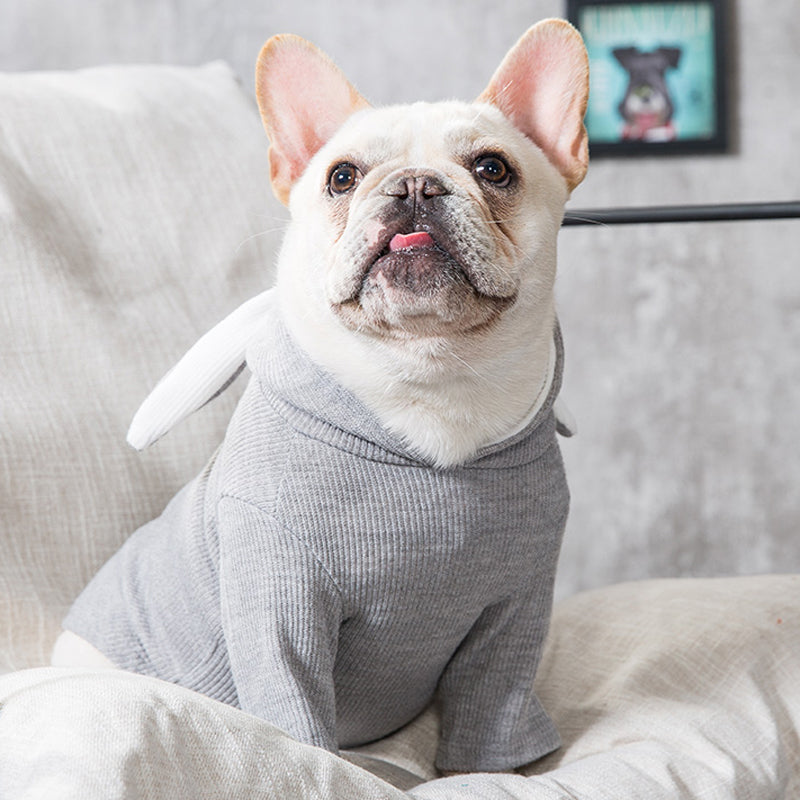 CozyFit Dog Hoodie — Comfort & Warmth for Everyday Walks 🐶